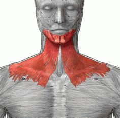 men muscle face 2