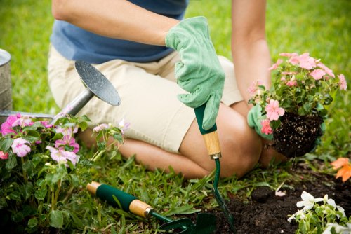 spring gardening tips