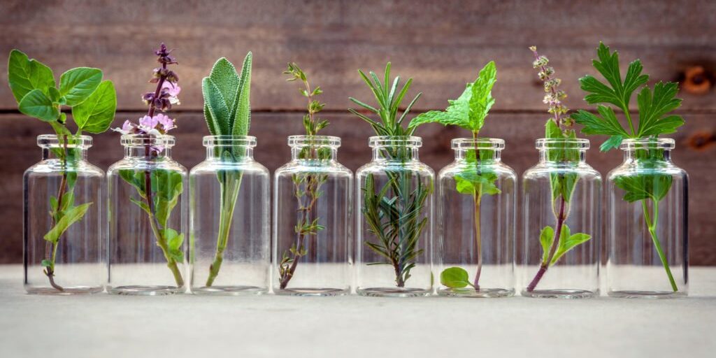 Bottle of essential oil with herbs holy basil flower, basil flower,rosemary,oregano, sage,parsley ,thyme and mint set up on old wooden background .